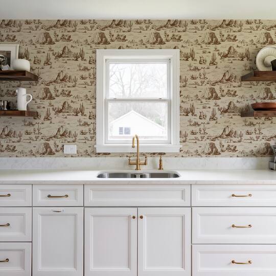 Designs Direct Area 51 Novelty Toile Peel & Stick Wallpaper